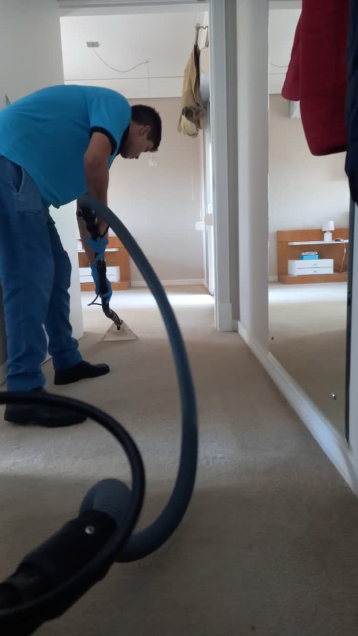 Higienização de tapetes e carpetes